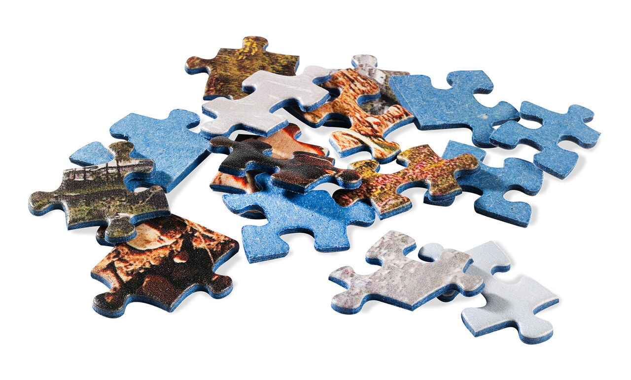 Colorful puzzle pieces scattered on a table.