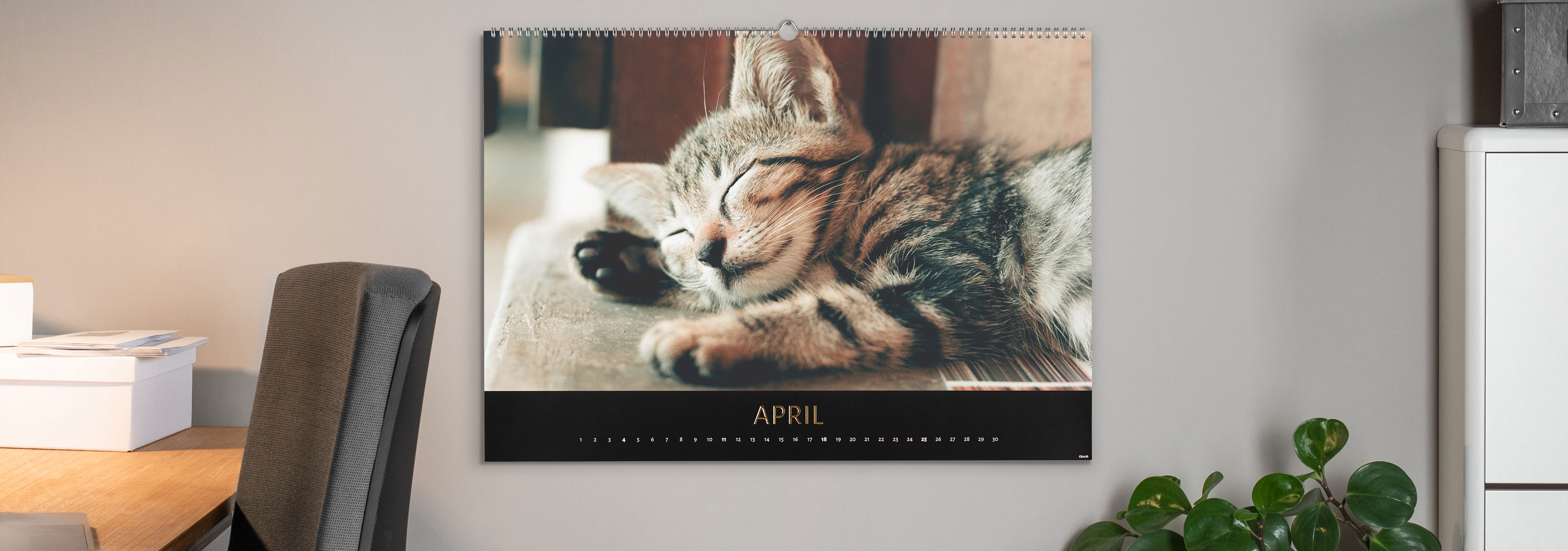 Sleeping cat in a CEWE photo calendar for April