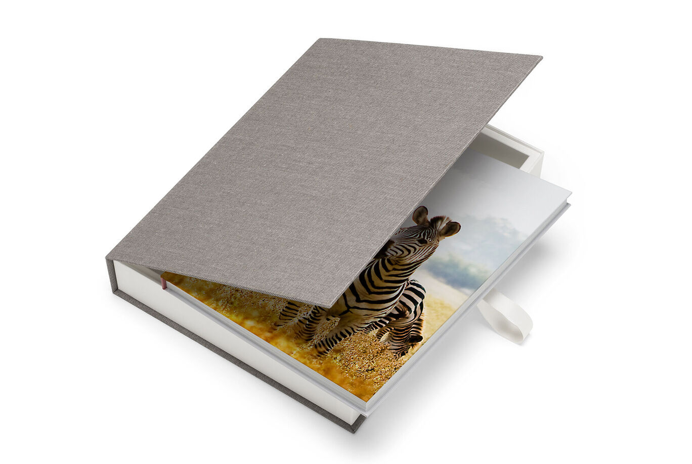 An open CEWE photo book with a zebra on the first page in a warm setting.