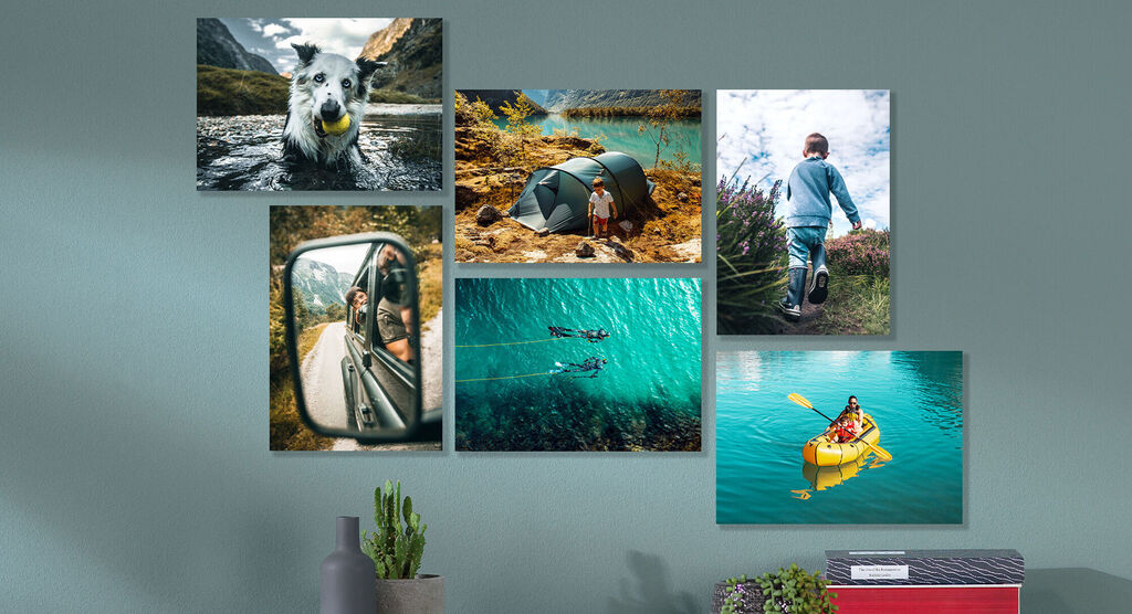 Six inspiring photos showcase adventures and nature: A dog playing with a ball in the water, a tent outside, a person walking along a path, a car photo in the mirror, an underwater shot with swimmers, and a person in a canoe.