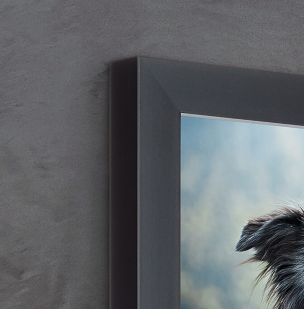 Close-up of a lovingly framed photo of a dog.