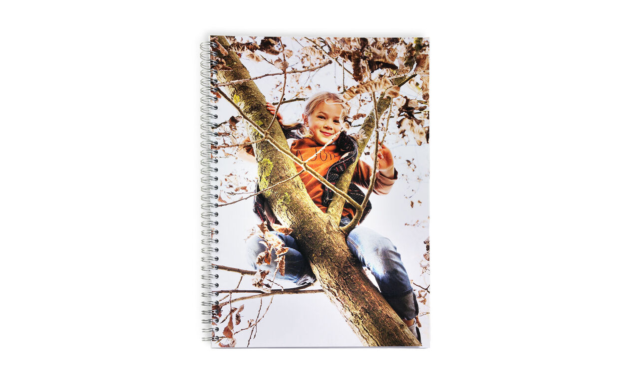A happy person sitting in a tree enjoying nature.
