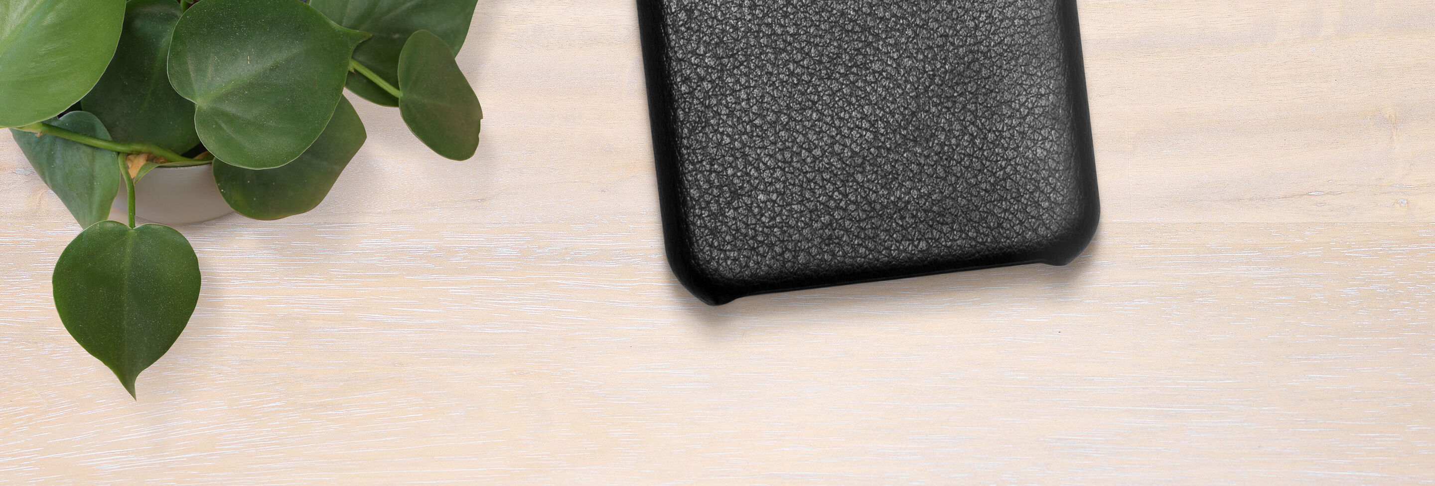 A black textured case on a light wood surface, next to a green plant