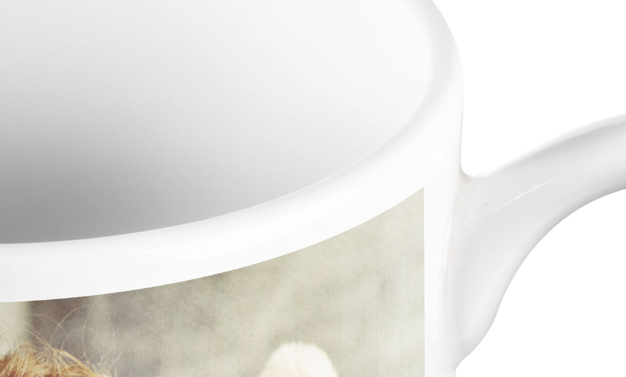 Mug with a photo of a smiling dog and a person sharing loving moments