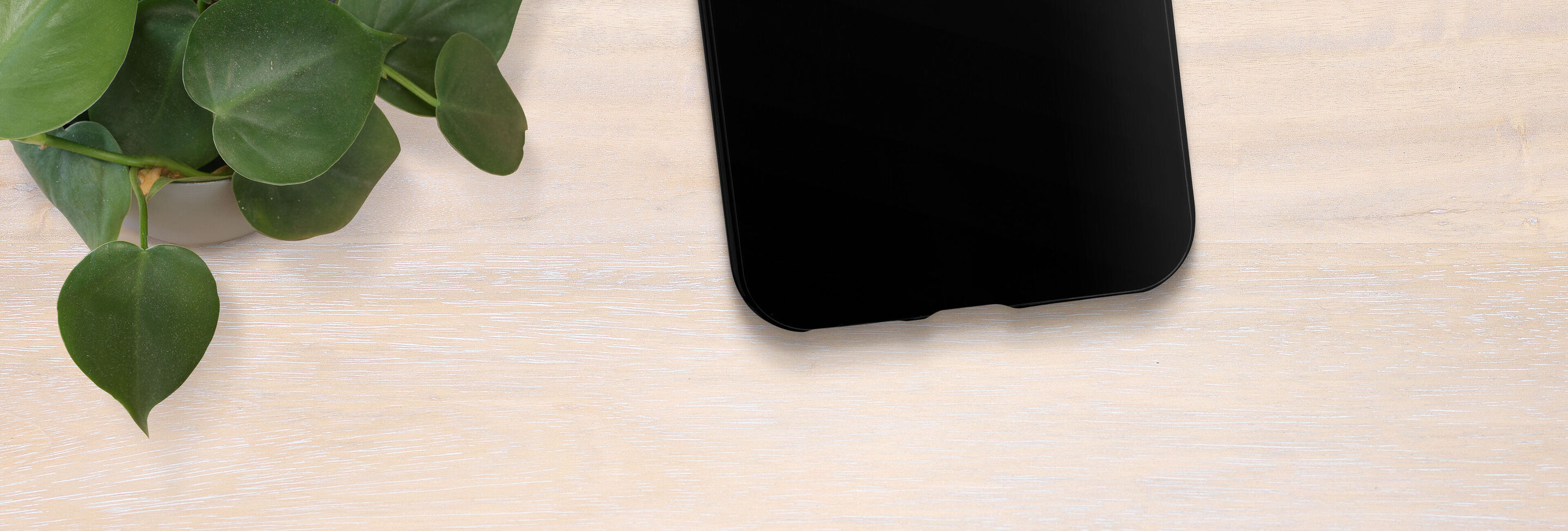 Black smartphone on a light table with a houseplant next to it.