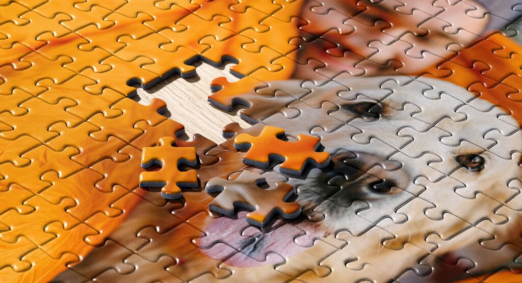 A partially completed puzzle with a dog and a smiling man. One piece is not placed.
