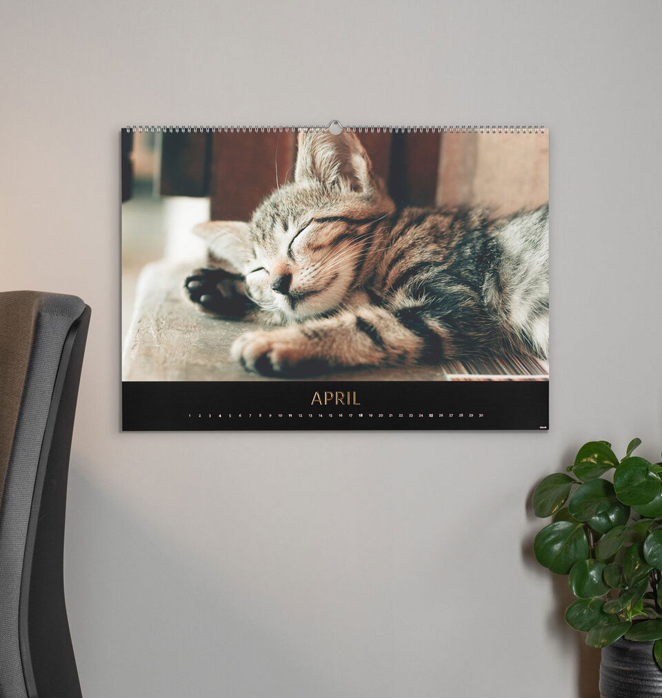 A sleeping kitten in the April calendar, lying on a table