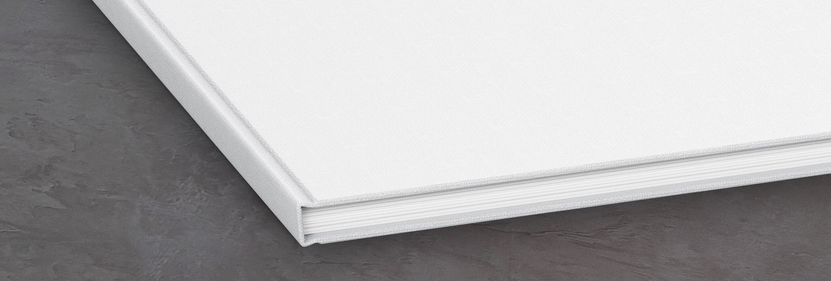 White pages of an open photo book on a gray background.