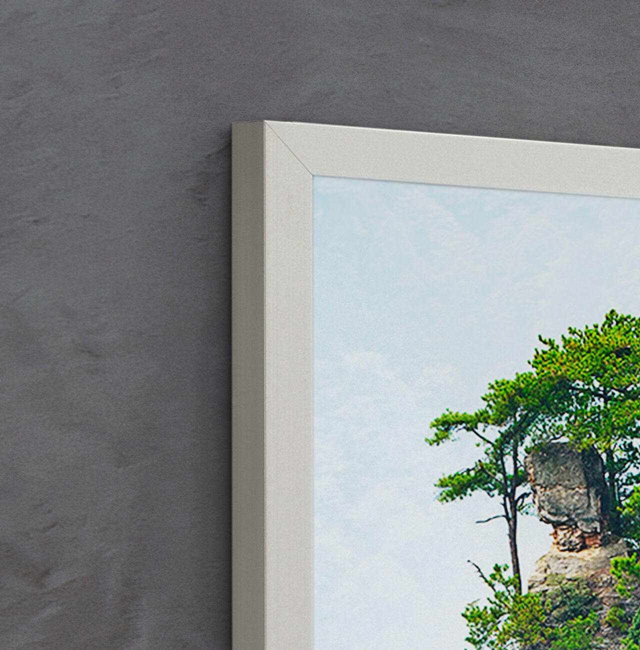 A wall picture of a tree growing out of a large stone.