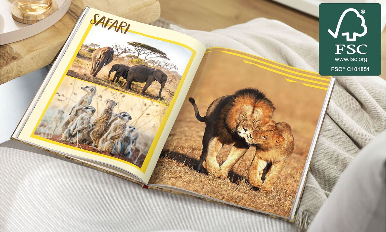 An open photo book with safari motifs. On the left, meerkats can be seen, and on the right, two lions fight in the savannah.