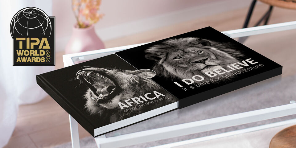 A CEWE photo book shows a lion with an open mouth and another lion in a calm pose. Title highlights adventure.