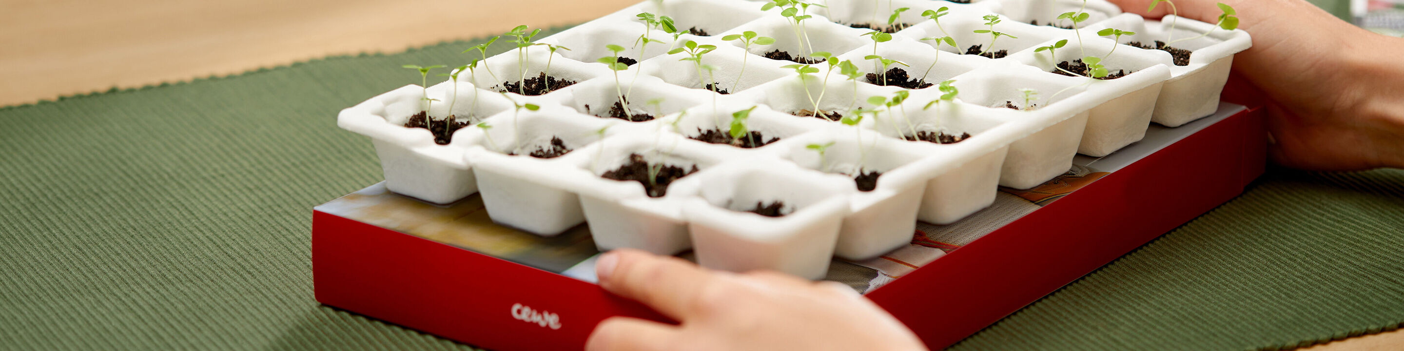 Our new sustainable Advent Calendar