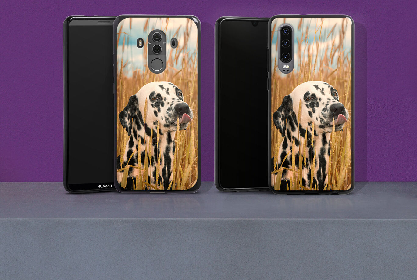 Two phone covers with a Dalmatian in tall grass conveying a feeling of freedom and adventure