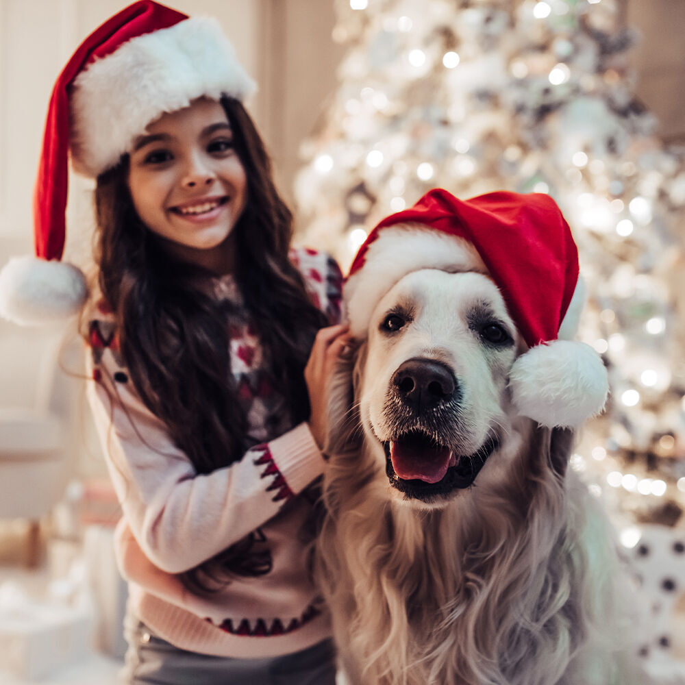 Cheerful person with Christmas hat and dog with red hat in a festive atmosphere