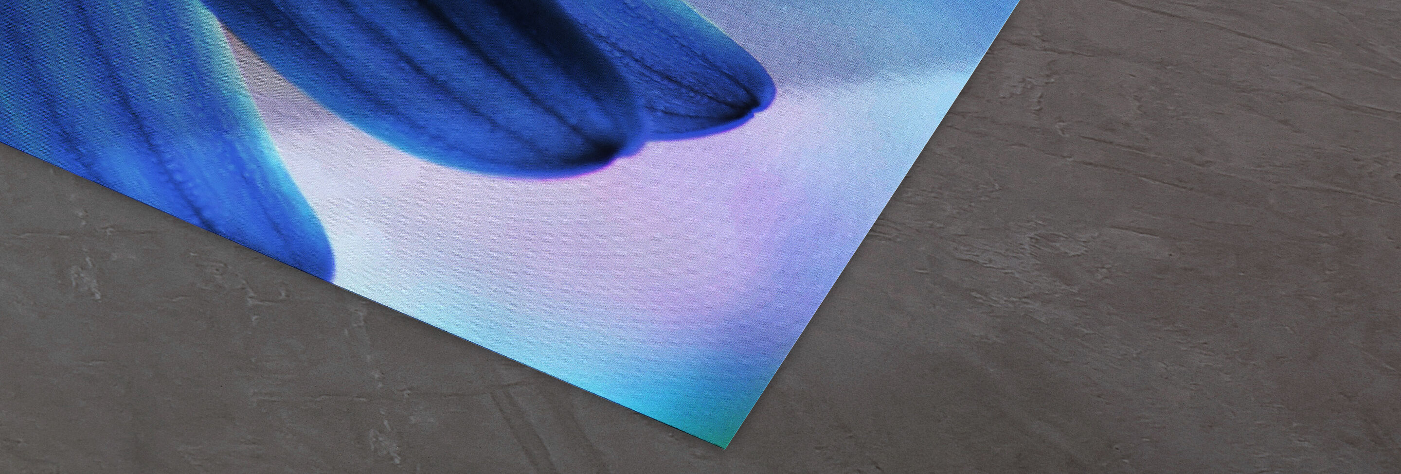 Close-up of a gradient banana on a gray background