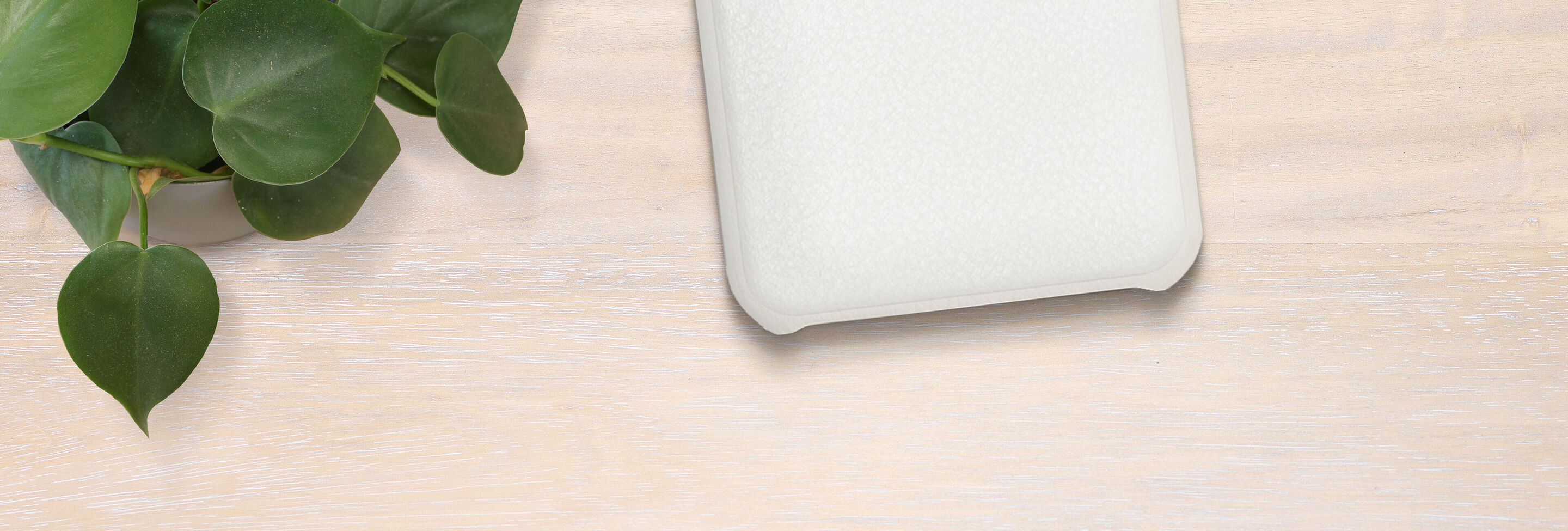 White smartphone case on a light table with green leaves in the background