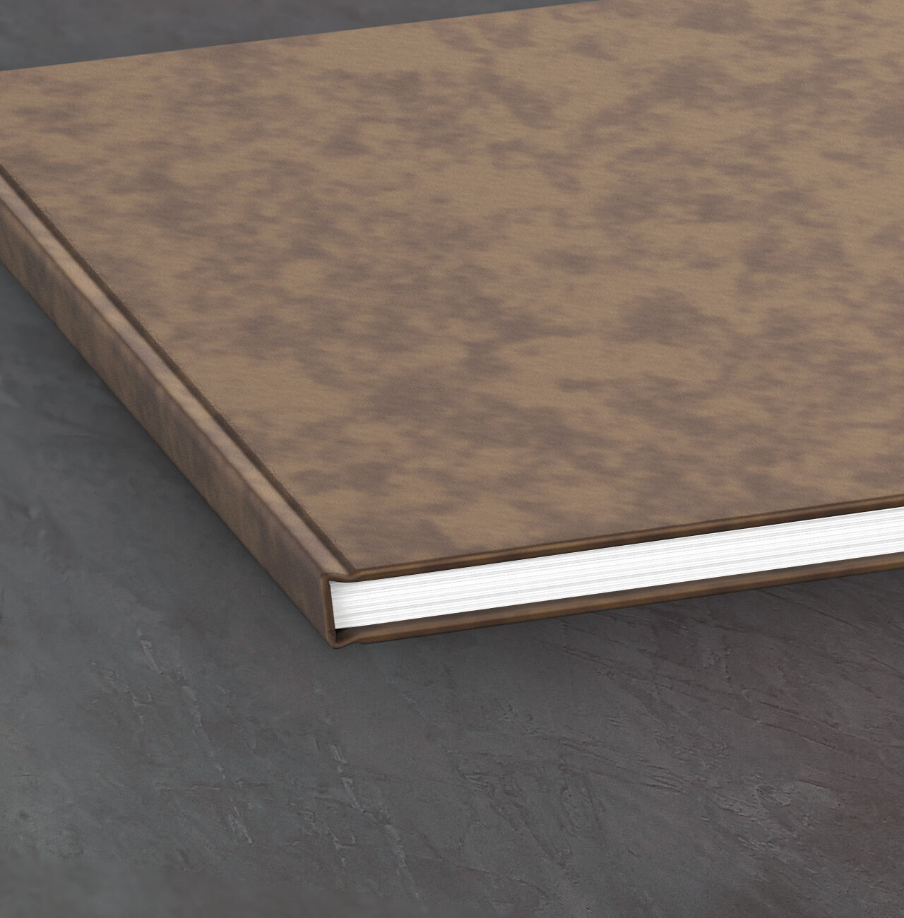 Close-up of a brown photo book on a dark surface.
