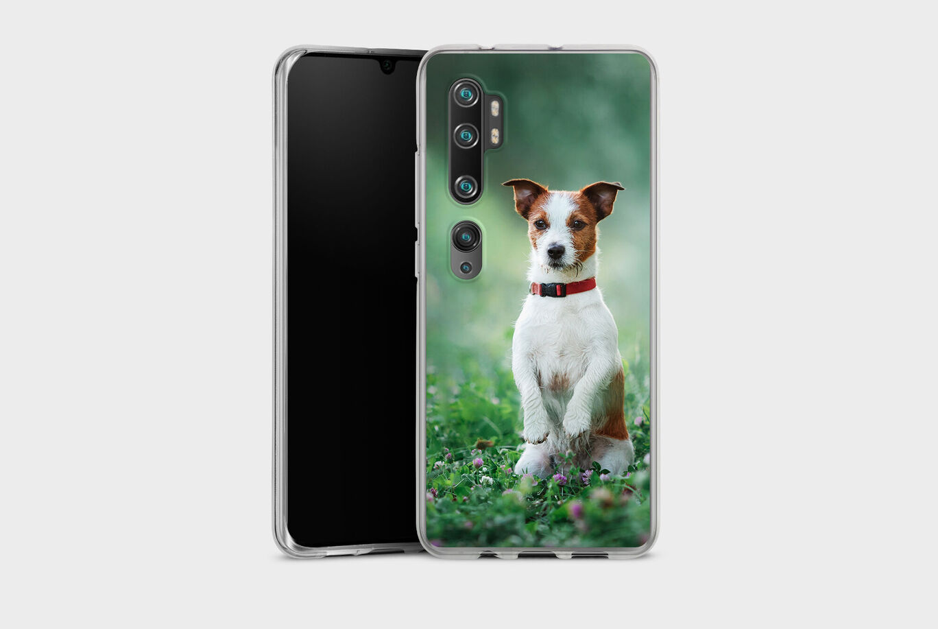 A charming dog in a green field, joyfully sitting and adorned with a red collar.