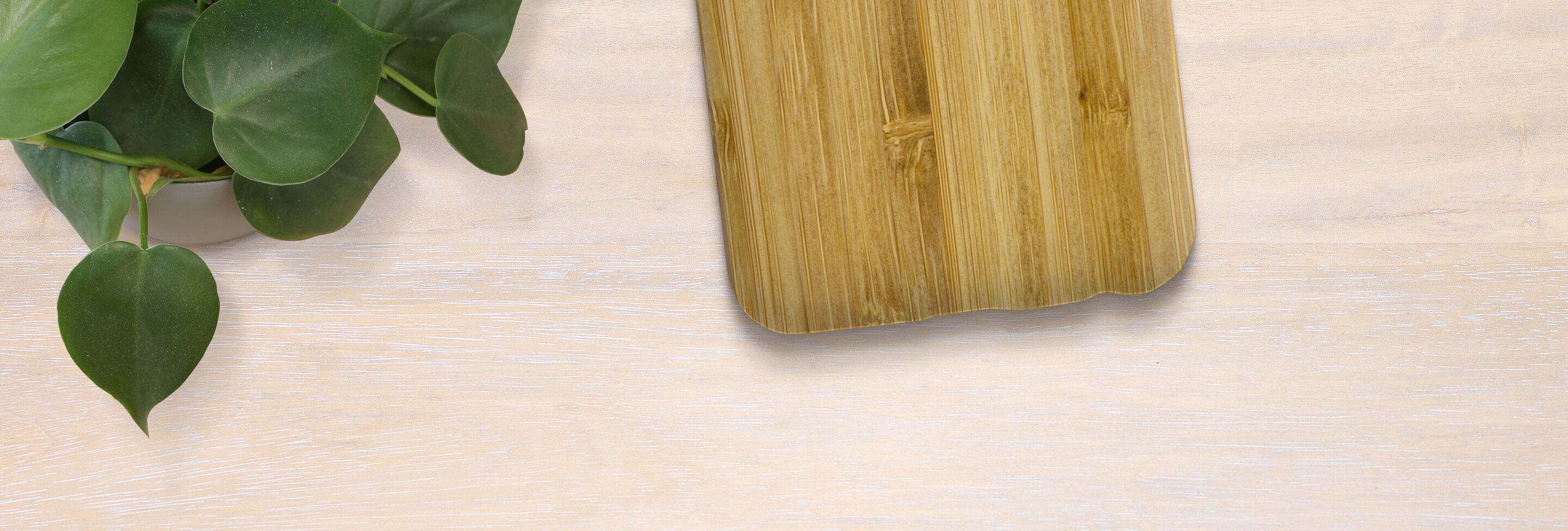 Natural wood surface with a nice potted plant.