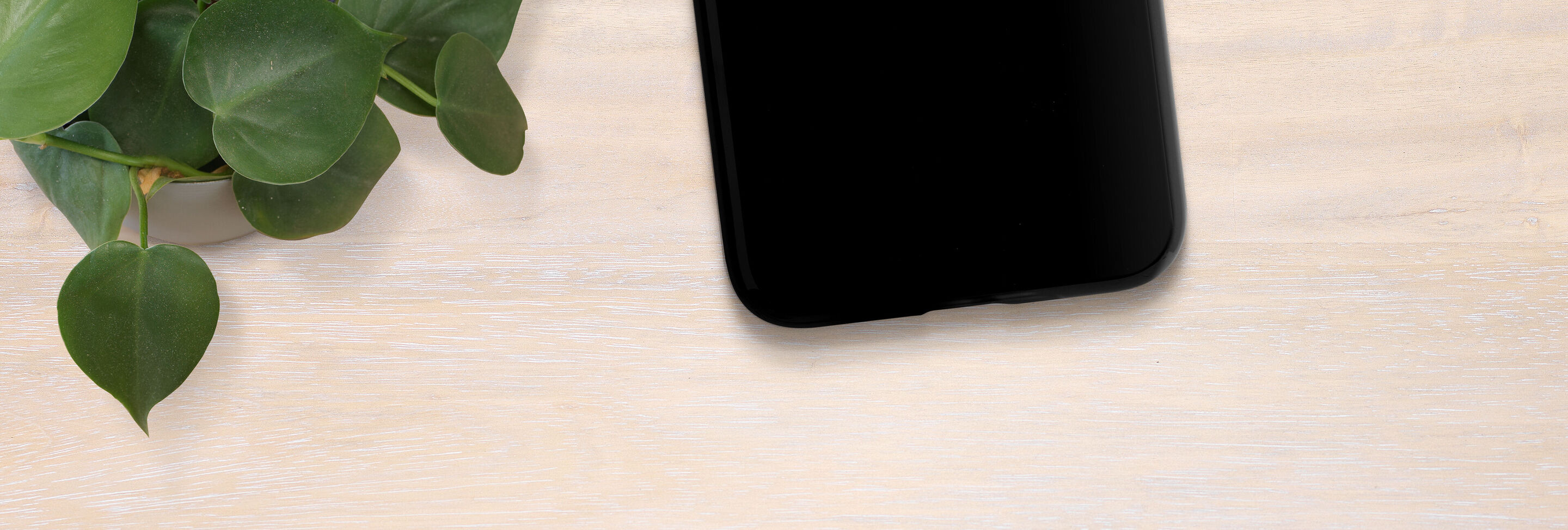 A black smartphone lies on a light wood surface, next to a green plant.
