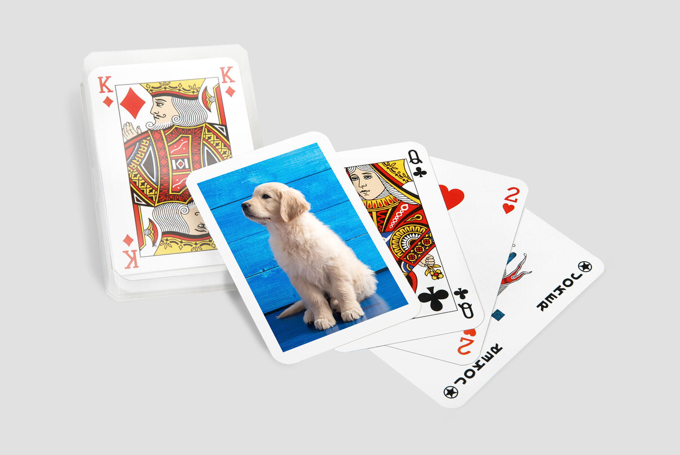 A card game featuring a picture of a cute puppy in the center.