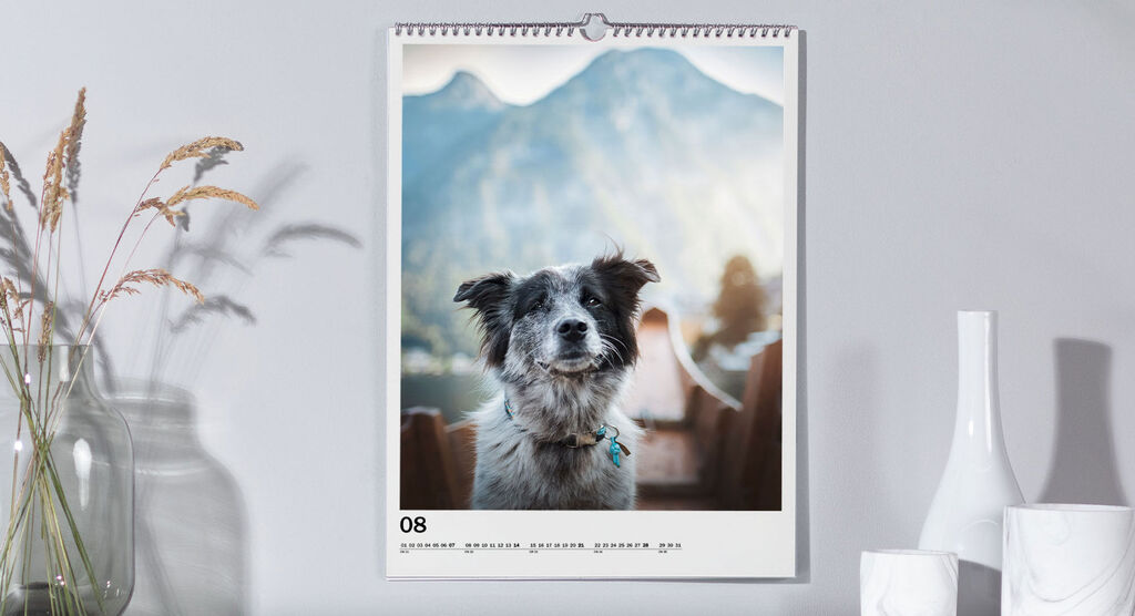 A cute dog stands in front of a beautiful mountain landscape, shown in a CEWE photo calendar