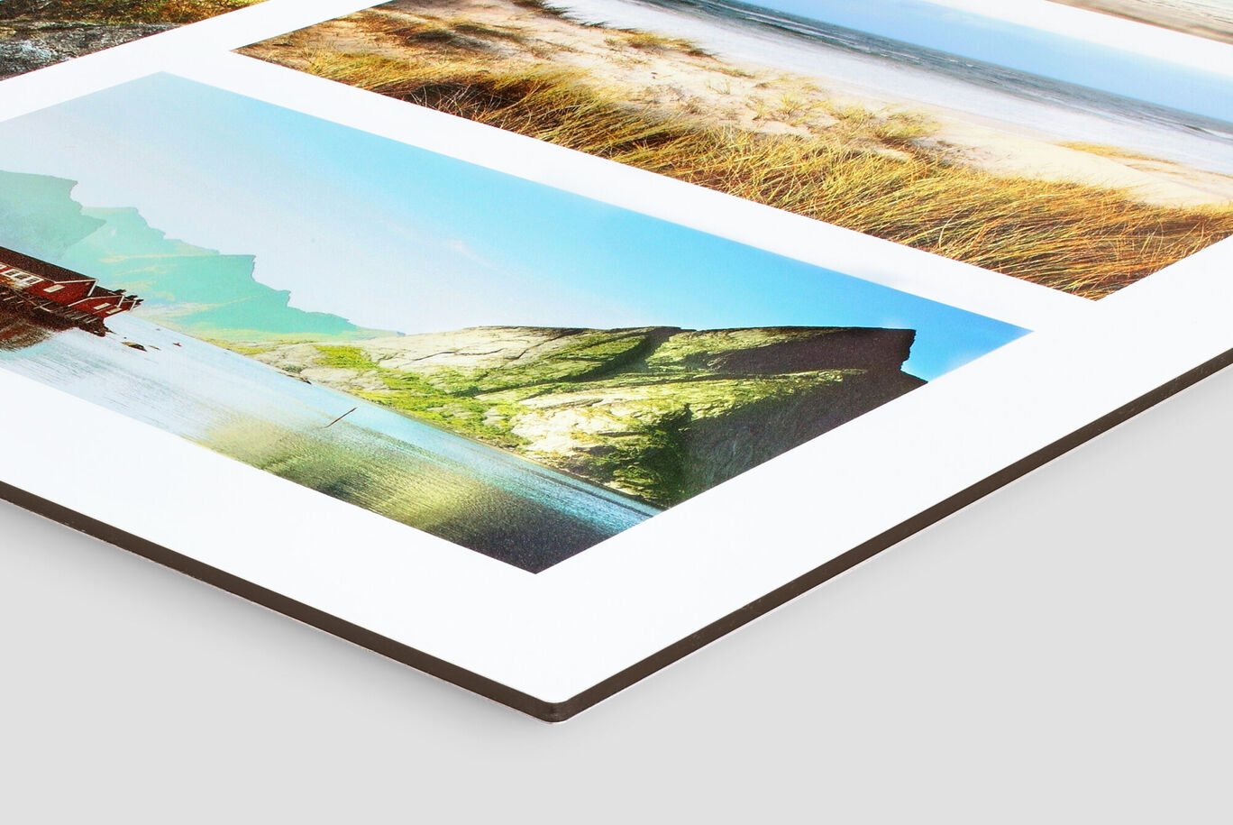 Close-up of a photo book with three nature images.