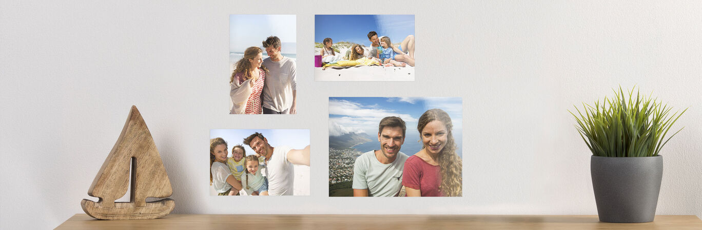 Collage of family photos on the wall with natural elements