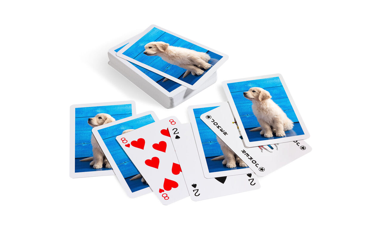 Cards featuring images of a happy dog on a blue background