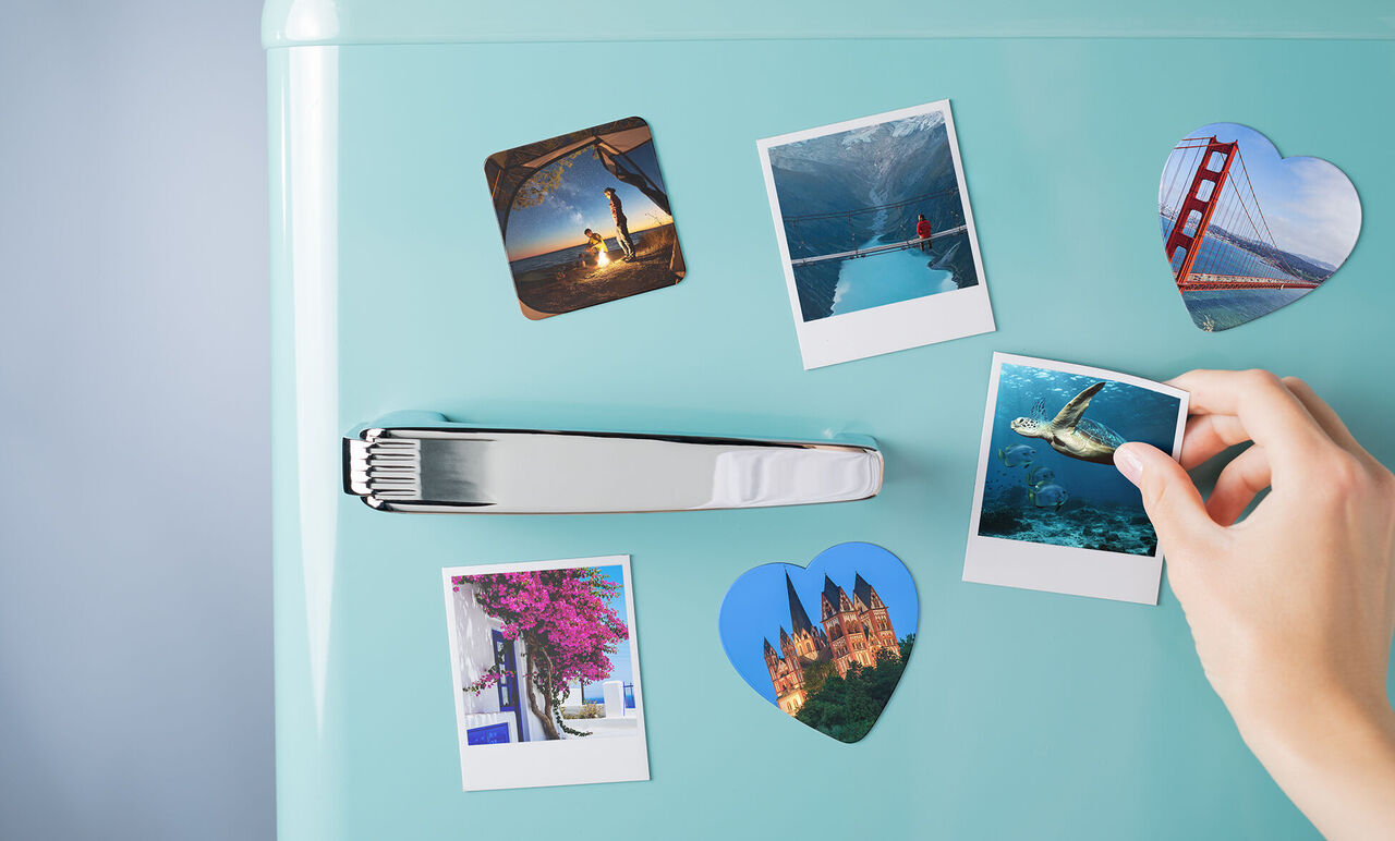 A hand takes a photo of a turtle from a fridge, surrounded by colorful memory photos.