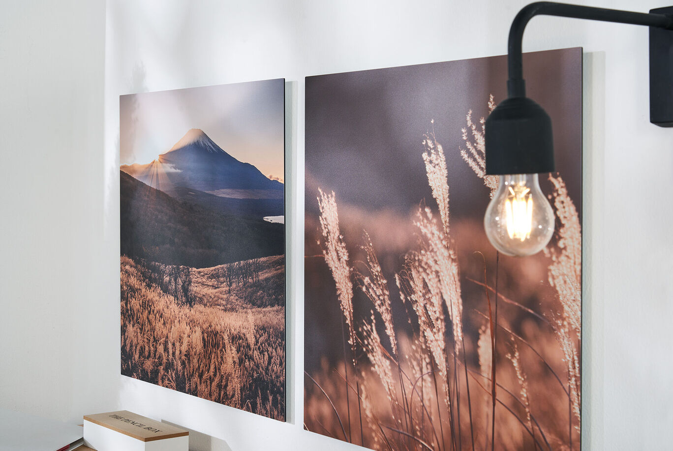 Two landscape wall images with grass and mountains