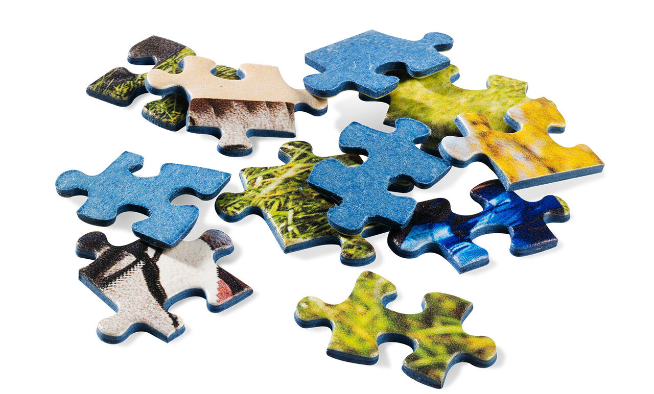 Colorful puzzle pieces on a white background.