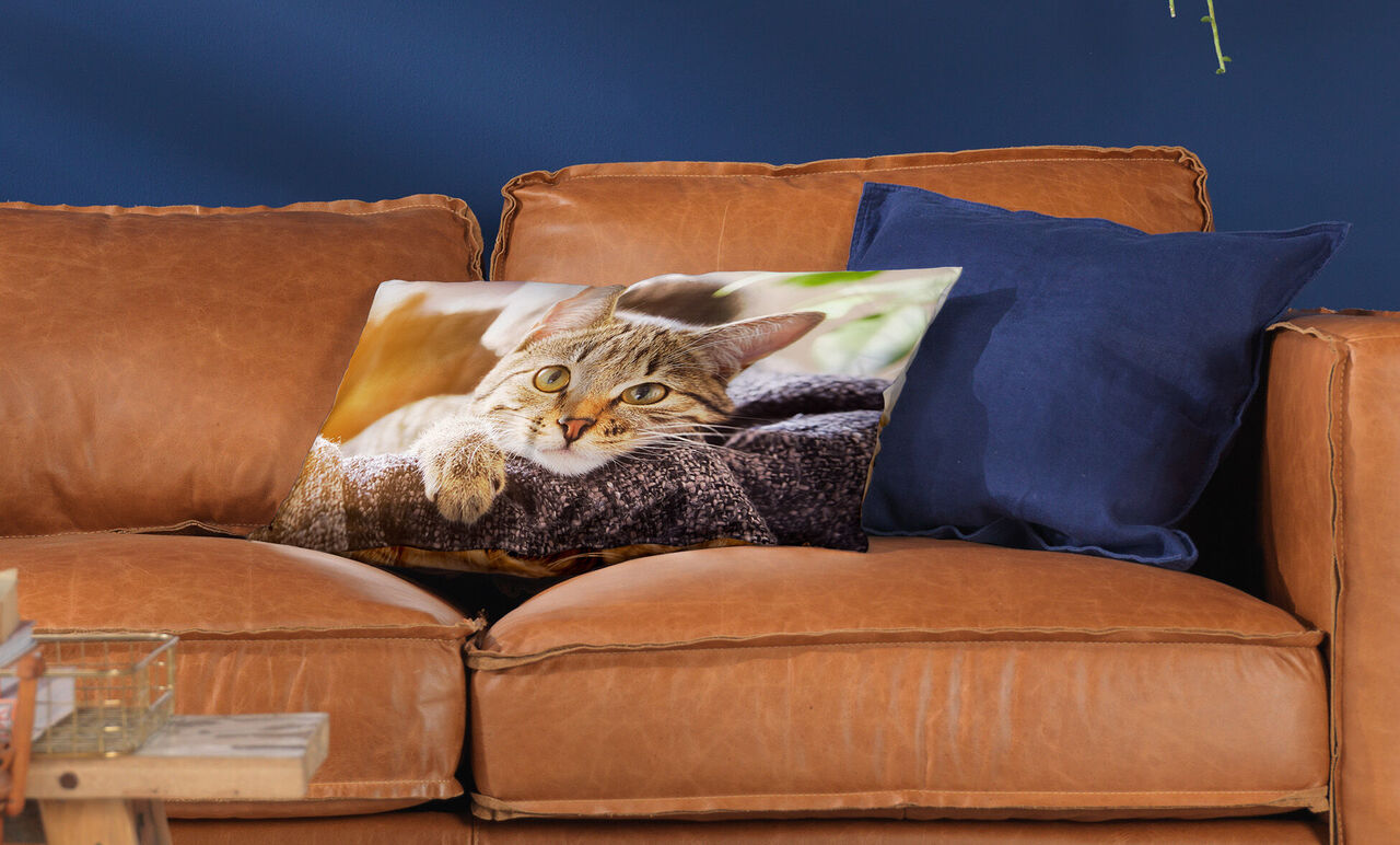 Cozy living room with a brown leather couch, with a cushion featuring a cat face on it
