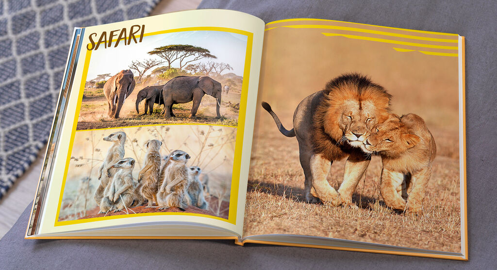An open photo book with images from a safari showing elephants, lions, and meerkats in the African savannah.