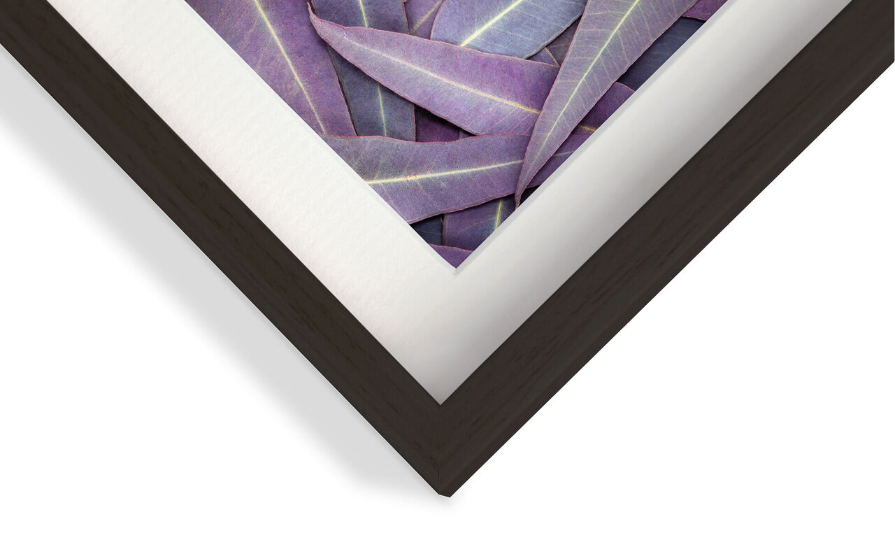Detailed shot of a gray frame with purple leaves in the background.