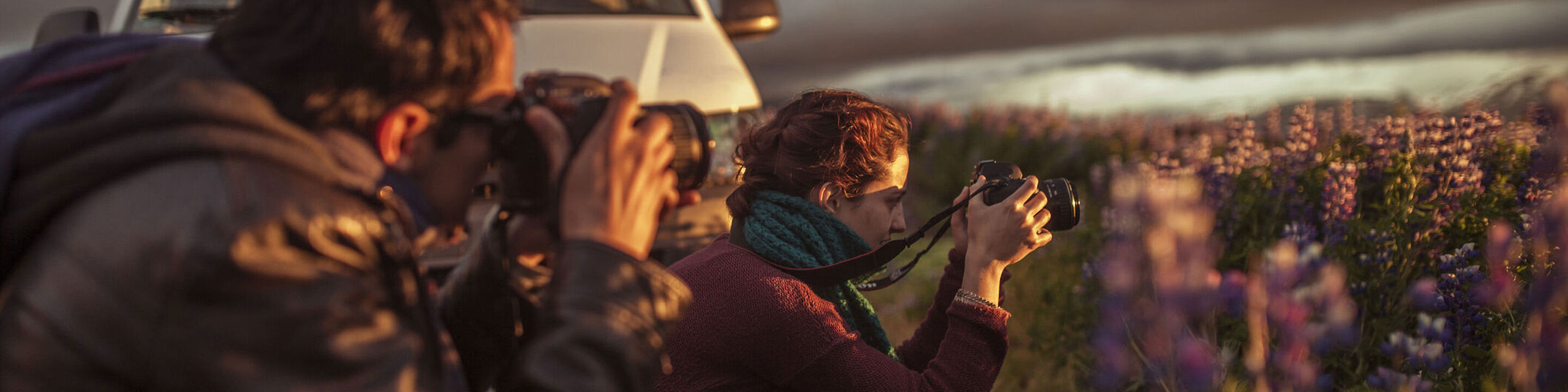 Two people photographing a flower meadow at sunset