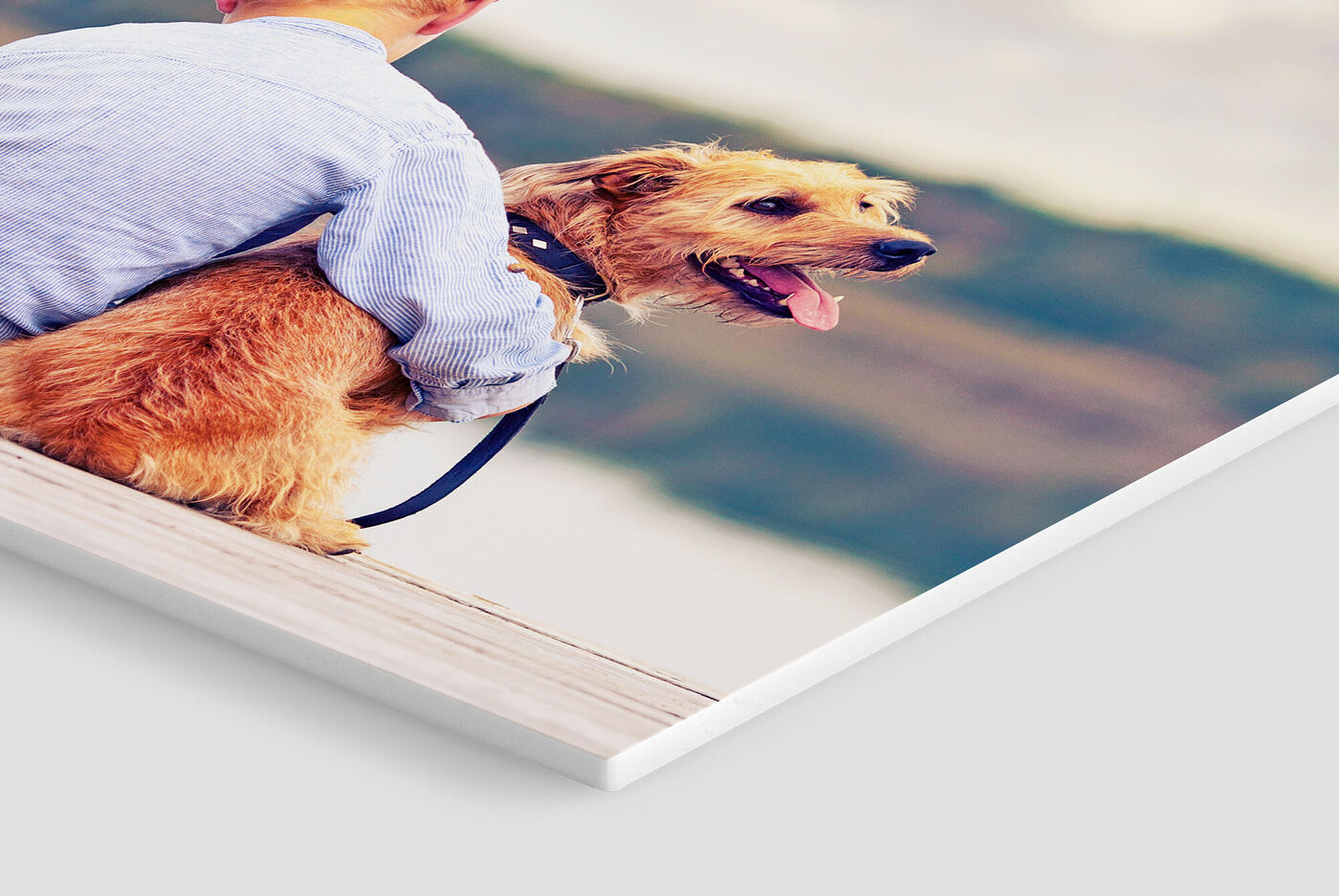 A cheerful boy sitting on a dock hugging his dog.