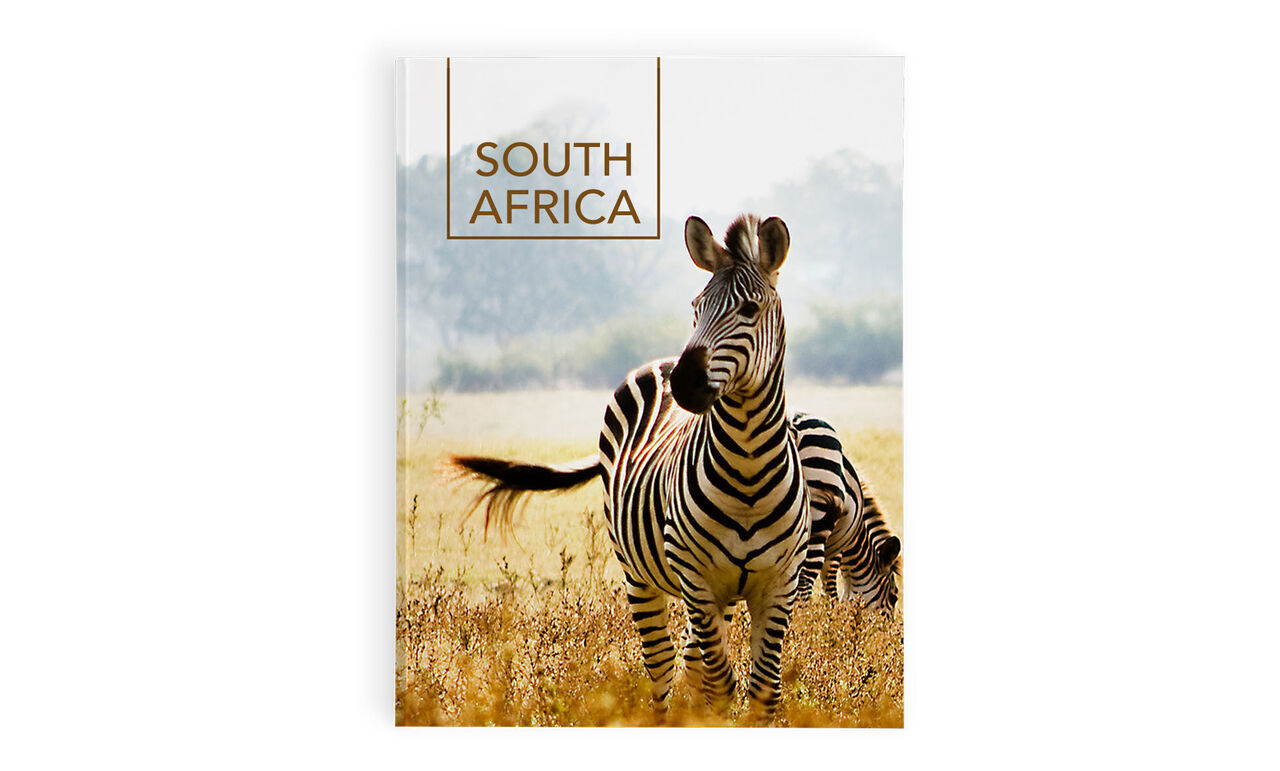 A happy zebra stands in a savanna landscape with another zebra in the background, showing the title 'South Africa'.