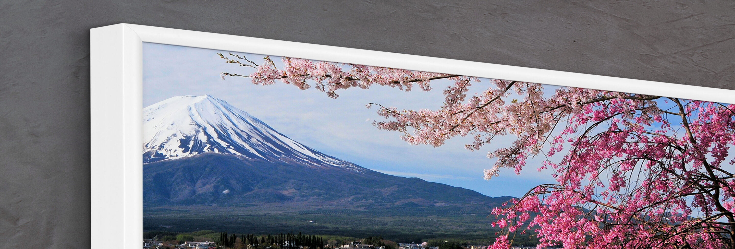 Flowering cherry tree with Mount Fuji in the background, clear sky.