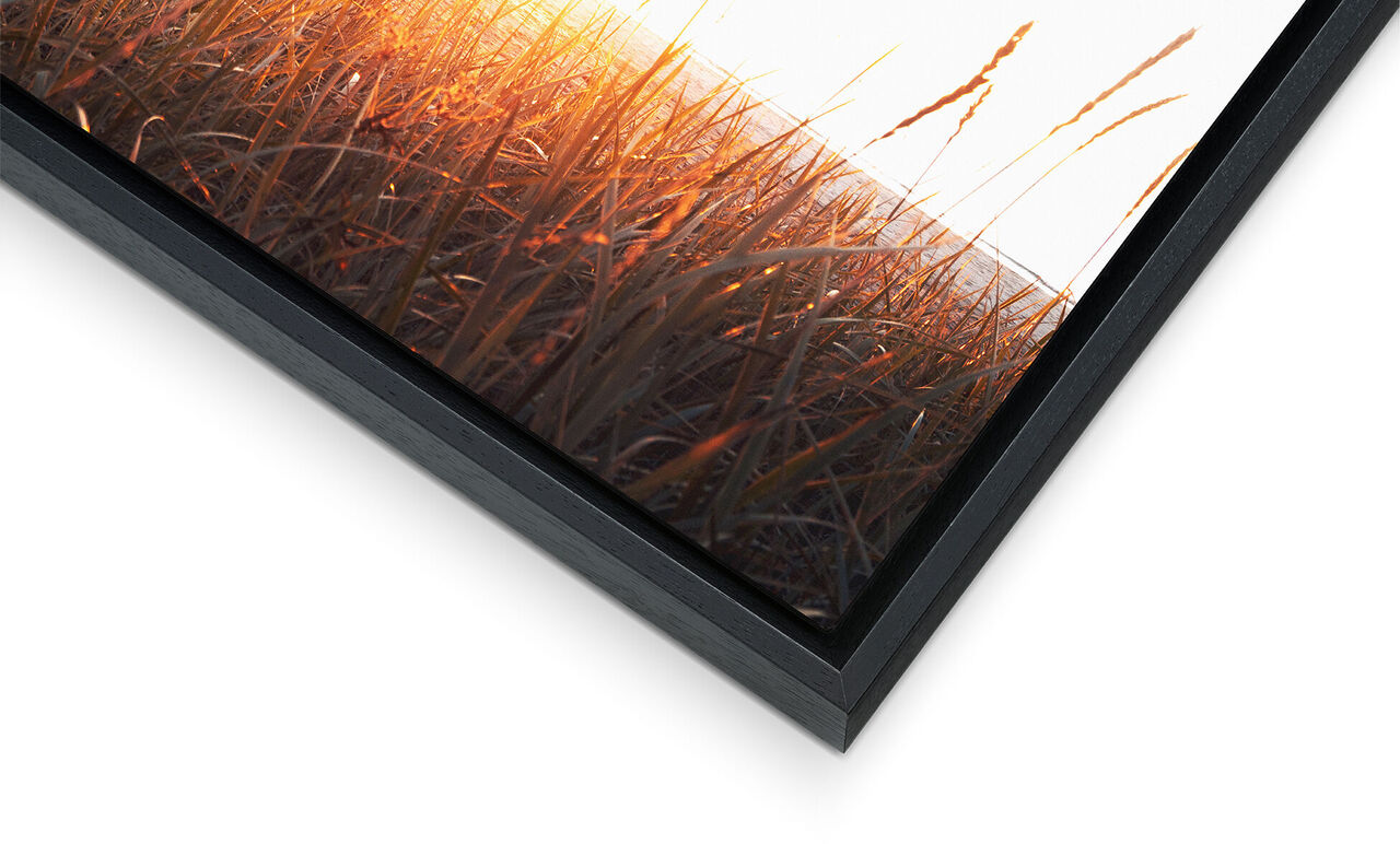 Black picture frame with golden sunlight on gentle blades of grass.