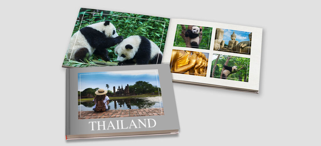 Two cute pandas play in green grass, surrounded by blooming plants in a photo book about Thailand