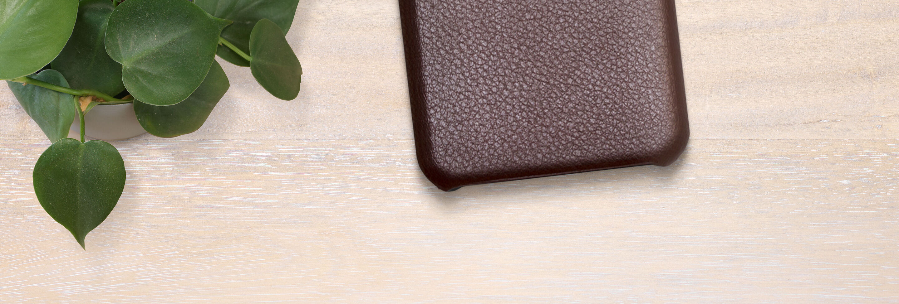 Brown textured case lies on a light table, surrounded by a beautiful plant