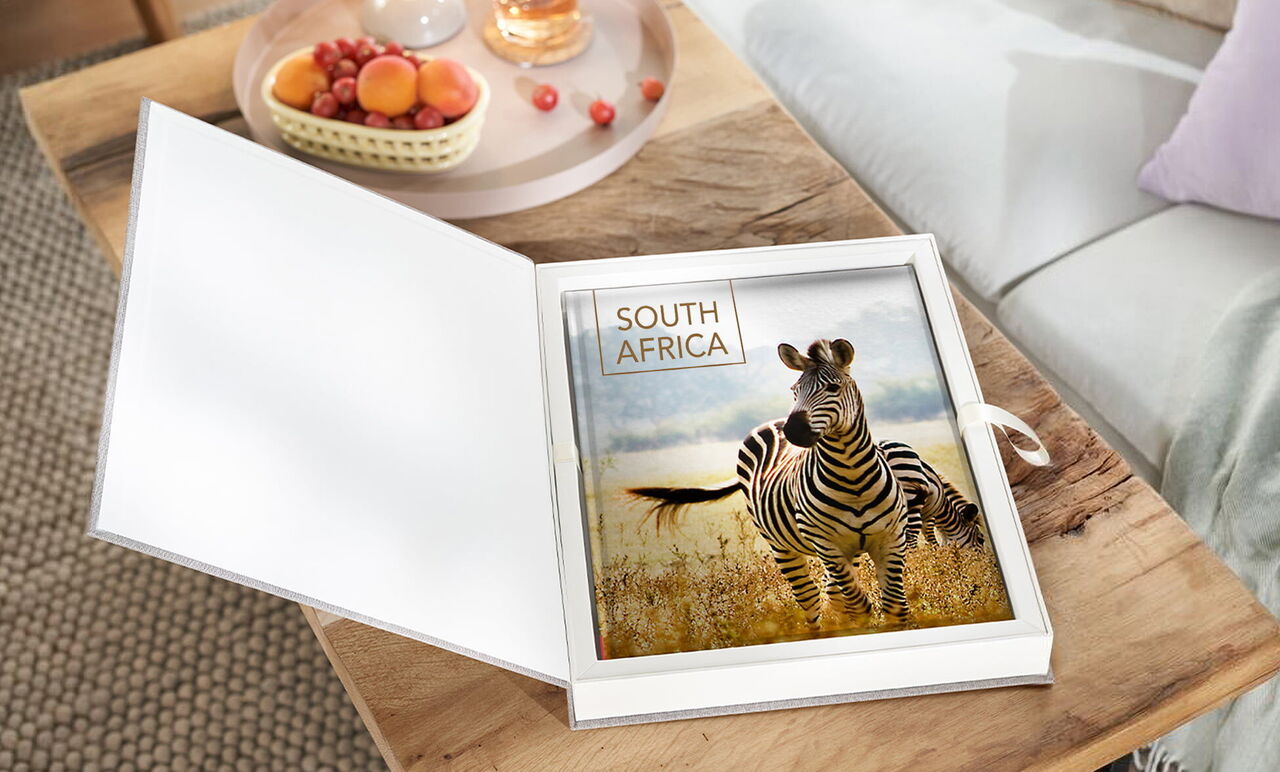 An open photo book with a zebra cover in a bright environment.