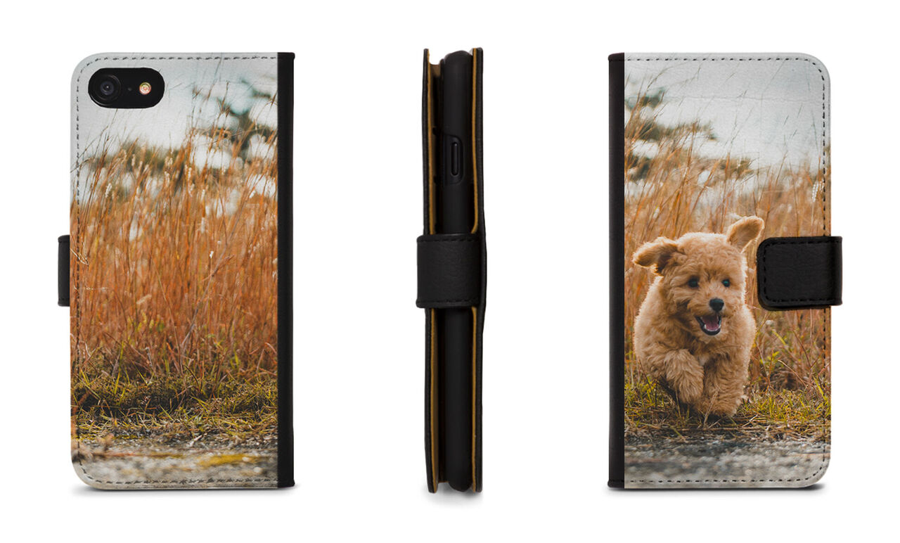 A happy dog running through a field of tall grass. The sun shines and the dog looks happy.