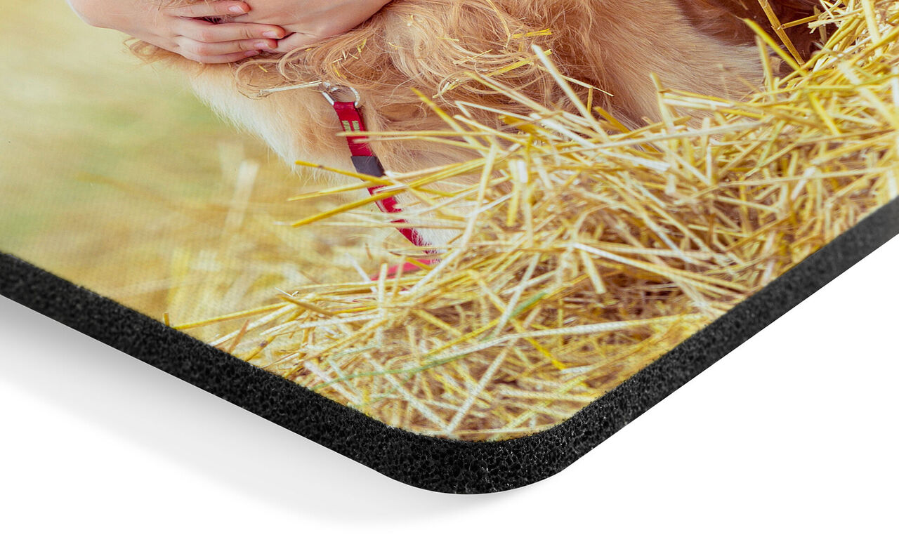 Close-up of a high-quality photo puzzle featuring a dog on straw.