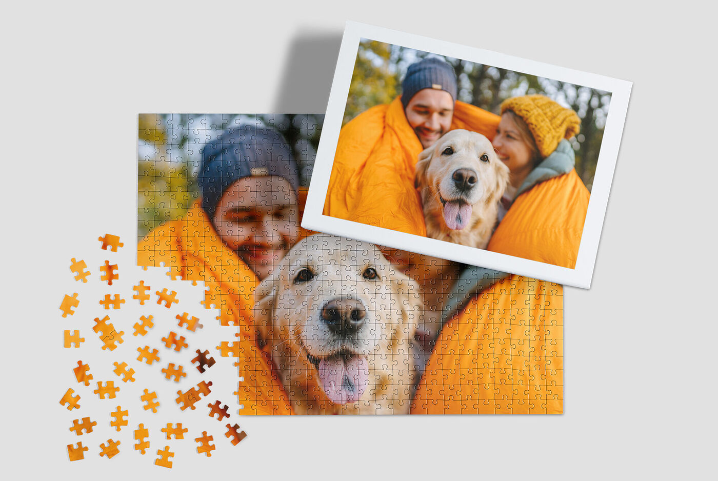 A golden retriever smiles from an orange sleeping bag. In the background, there's a colorful autumn landscape.