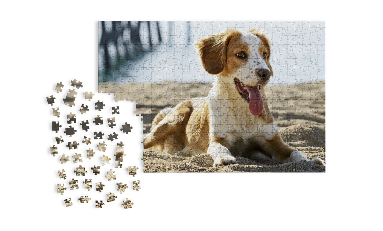 Puzzle with a dog in the sand at the beach, puzzle pieces scattered in the foreground