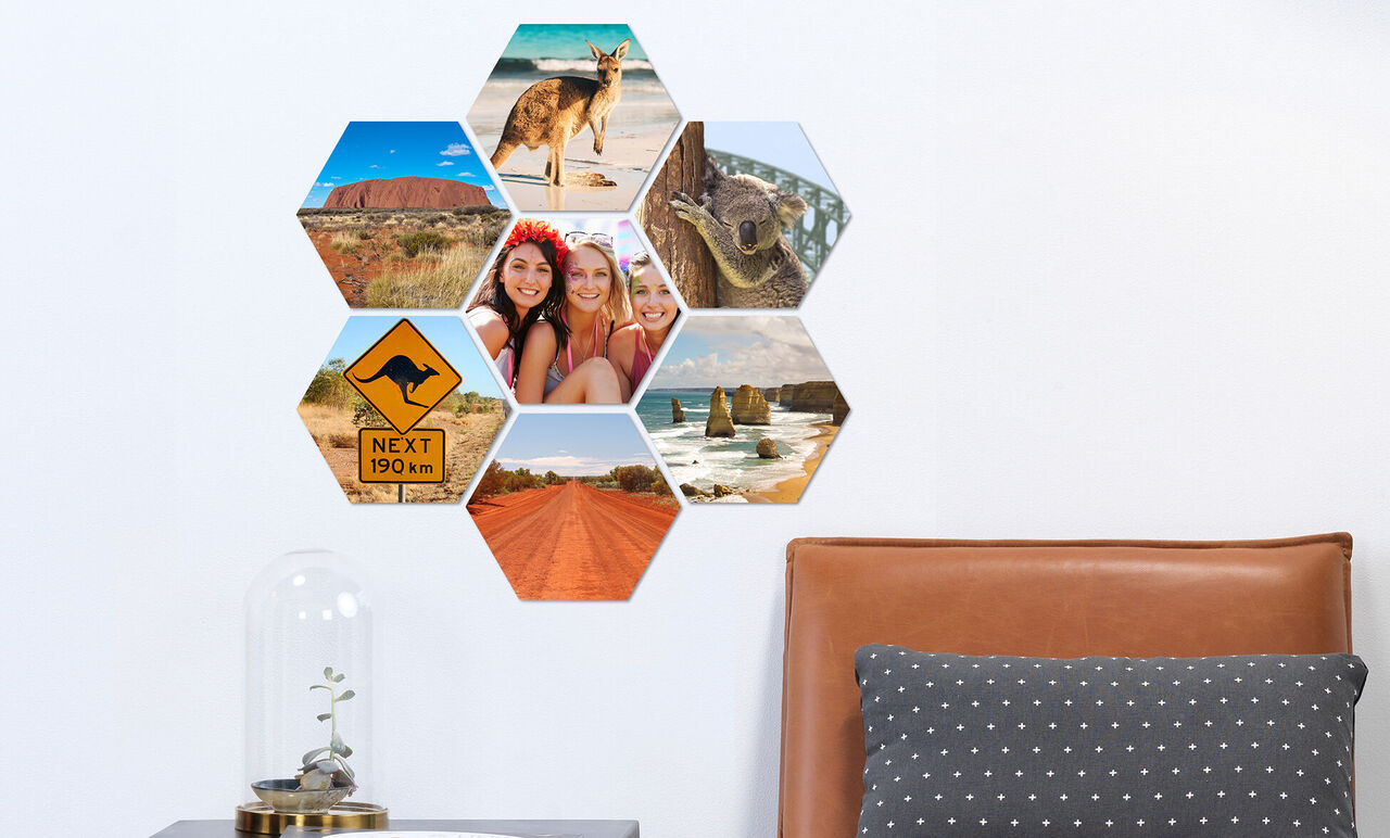 Hexagonal photo collage with travel memories, featuring animal and landscape shots.