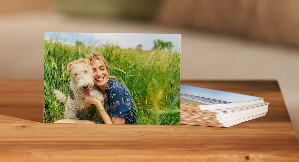 A child hugging a dog in a green meadow.