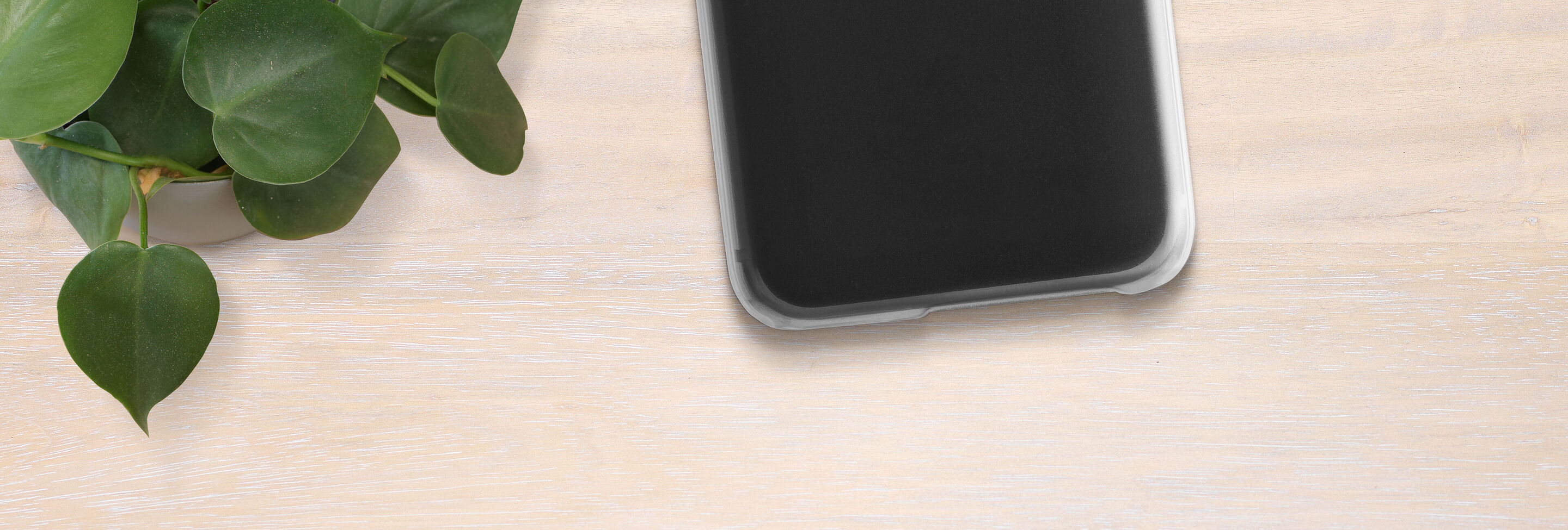 Phone on a light wood surface with a plant.